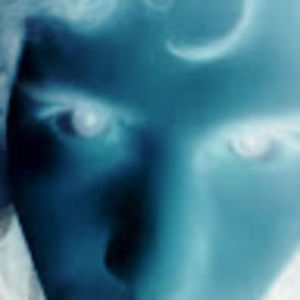 Meet your Posher, Jake